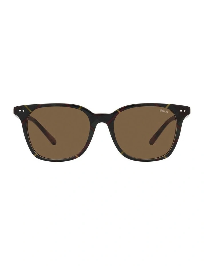 0PH4187 Sunglasses in Brown