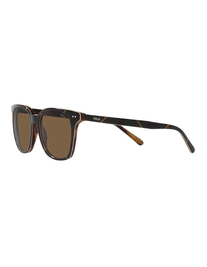 0PH4187 Sunglasses in Brown