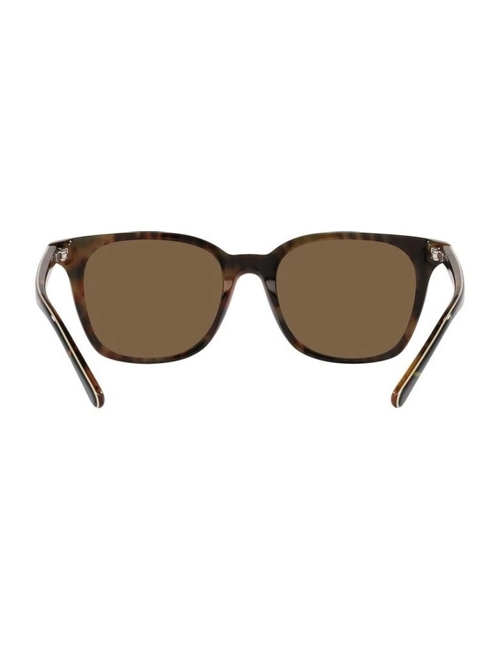 0PH4187 Sunglasses in Brown