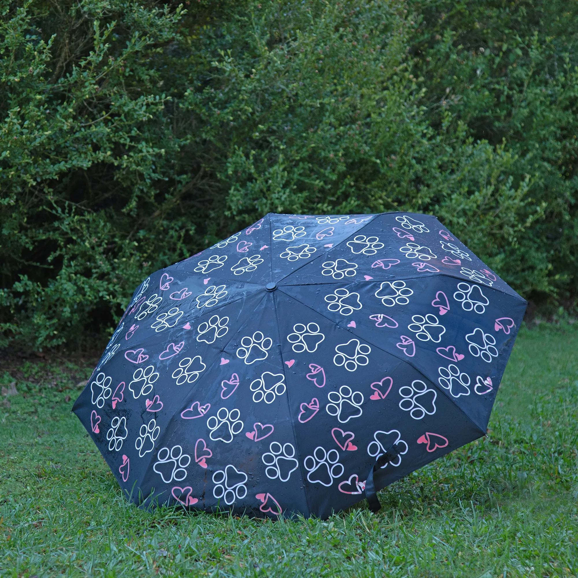 Magic Print Paw Print Umbrella